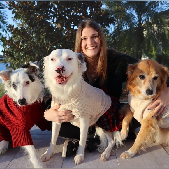 Sunshine, Rescue Dogs & Books 🌞🐕📚 | Priced to Sell Fast ✨ - Picture 9 of 10